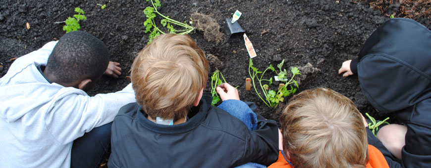 School-Field-trip-in-gardens