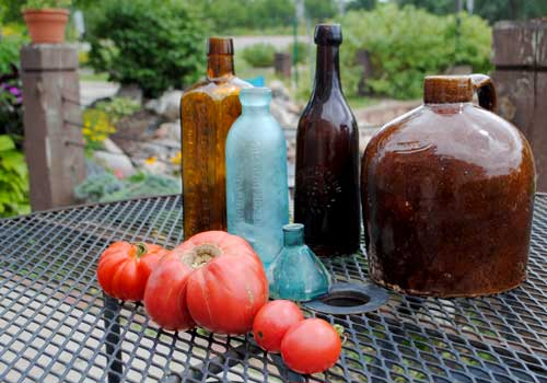 Heirloom Tomatoes & Old Bottles from Vintage Privy