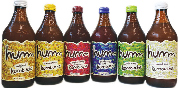 Humm Kombucha in six flavors