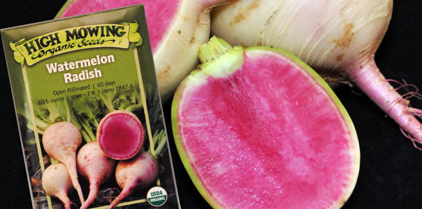It's that exciting time of year when gardeners are ...