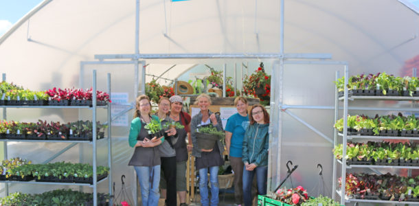 Minnesota Garden Center