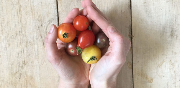 Fresh Cherry Tomatoes