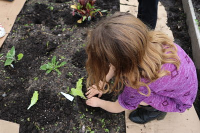 child planting